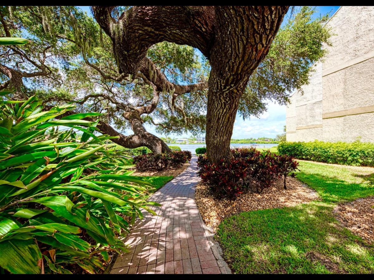 Luxury Waterfront Views - Heated Pool - 1400Sf Duplex - Minutes To The Beach Siesta Key Eksteriør billede